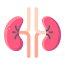 Nephrologists Mailing List